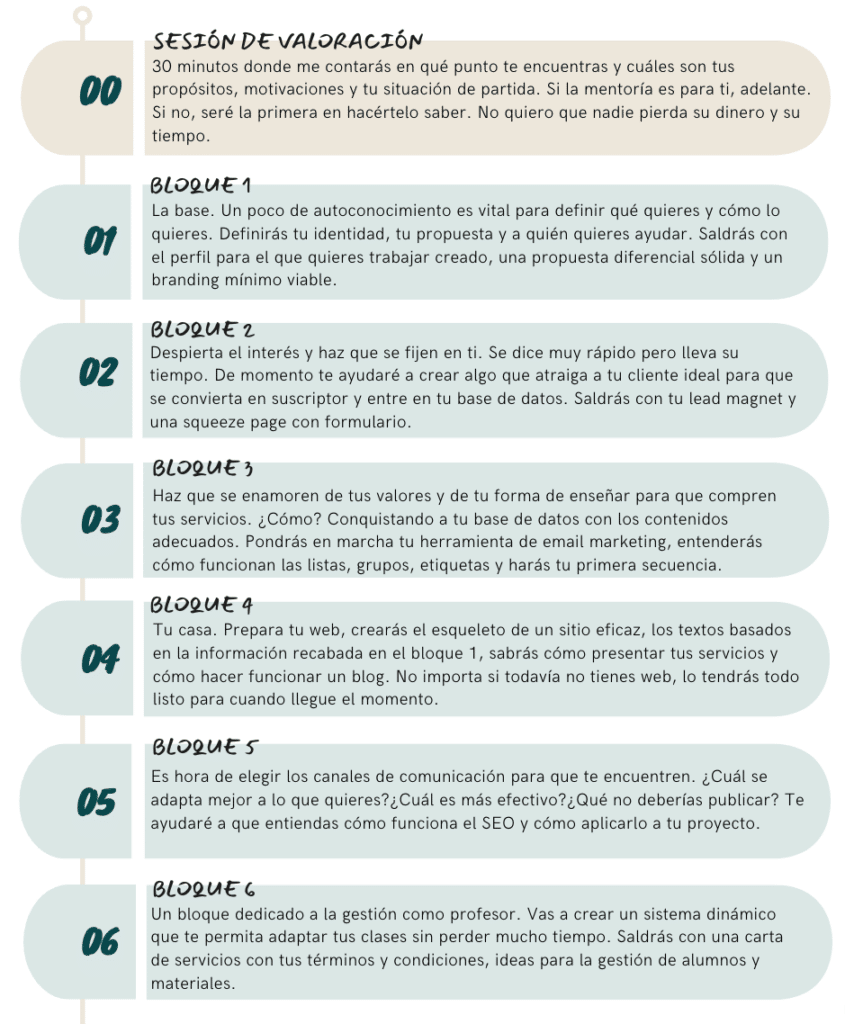 mentoria grupal para profesores de español